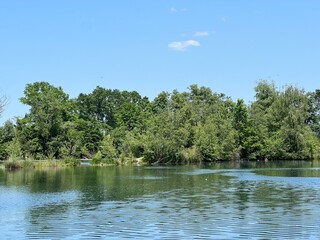 Summer atmosphere in the Old Rhine Nature Park, Lustenau (Austria) - Vorfr&uuml;hlings Stimmung im Naturpark Alter Rhein oder Naturpark am Alten Rhein, Lustenau - &Ouml;sterreich (Osterreich or Oesterreich)