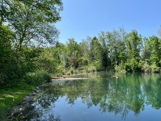 Obraz premium Summer atmosphere in the Old Rhine Nature Park, Lustenau (Austria) - Vorfrühlings Stimmung im Naturpark Alter Rhein oder Naturpark am Alten Rhein, Lustenau - Österreich (Osterreich or Oesterreich)