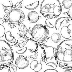 Hand drawn ink apple fruits in basket, ripe, full and slices monochrome vector, detailed outline Seamless pattern Isolated on white background Design for wall art, wedding, print, fabric, cover, card.