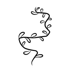 Botanical leaf line.plant illustration.