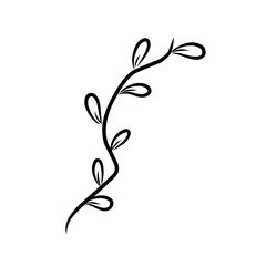 Botanical leaf line.plant illustration.