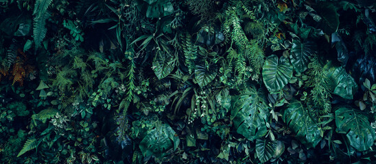 Close up group of background tropical green leaves texture and abstract background. Tropical leaf nature concept.