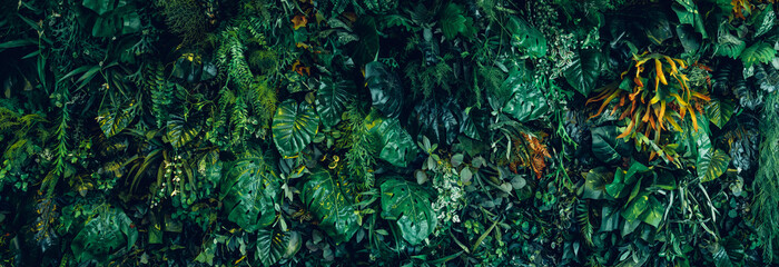 Fototapeta na wymiar Close up group of background tropical green leaves texture and abstract background. Tropical leaf nature concept.