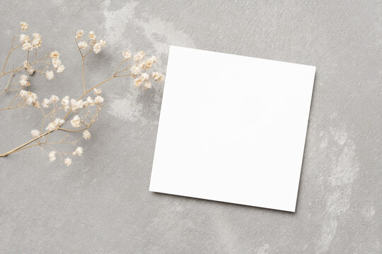 Blank Square Card Mockup With Dry Flowers On Grey Background, Greeting Or Invitation Card Mockup Flat Lay