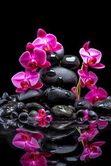 illustration of pink orchids on black stones with reflection. free space. Spa concept. generative AI