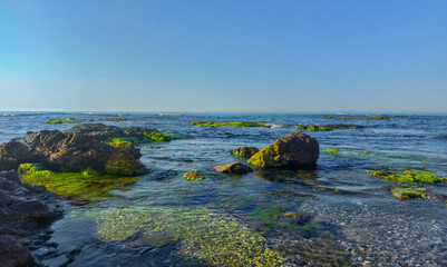 Fototapeta na wymiar rocks in the sea 