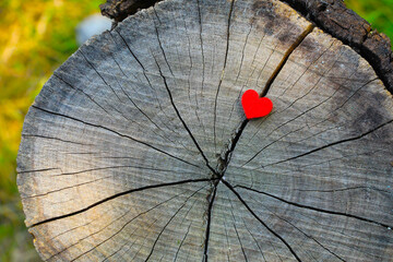 Obraz premium Małe czerwone serce na ściętej gałęzi drzewa