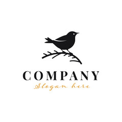 2d Bird simple logo design