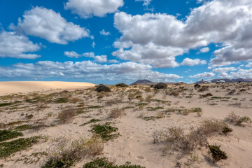 Las Dunas de Corralejo, (Corralejo Dunes), a stunning white sand beach on Fuerteventura Island, Canary Islands, Spain