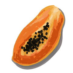 Hand drawn artistic food illustration of papaya tropical exotic fruit