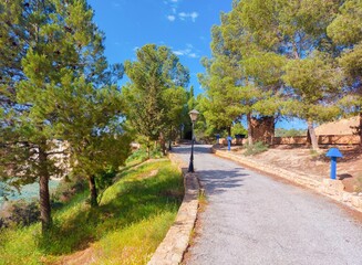 dirt road in the mountain
