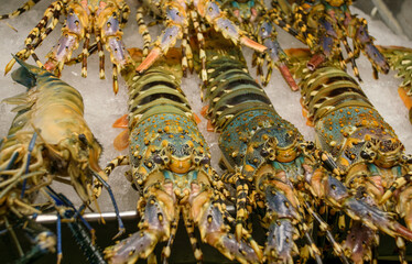 Lobsters from traditional food market and bazar in Thailand