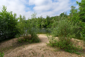 Pond in the Livry Sensitive Nature reserve. Île-de-France region