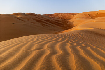 wavy patterns in the desert dunes in emirates at sunrise