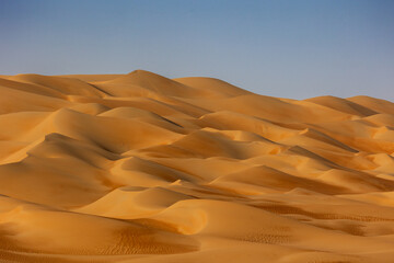 Fototapeta na wymiar desert dunes at sunrise in emirates arabia