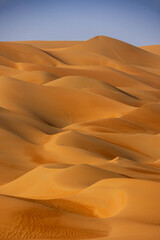 Fototapeta na wymiar desert dunes at sunrise in emirates arabia vertical