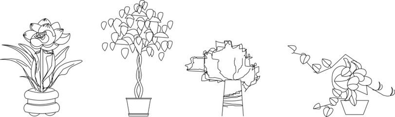 Vector sketch illustration of ornamental tree plants in pots to decorate the room