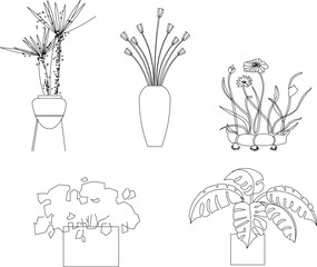 Vector sketch illustration of ornamental tree plants in pots to decorate the room