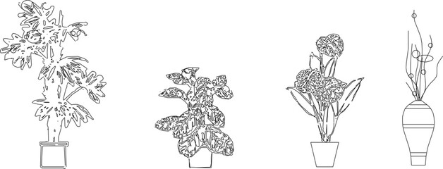 Fototapeta na wymiar Vector sketch illustration of ornamental tree plants in pots to decorate the room