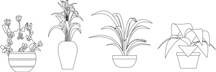 Naklejka premium Vector sketch illustration of ornamental tree plants in pots to decorate the room
