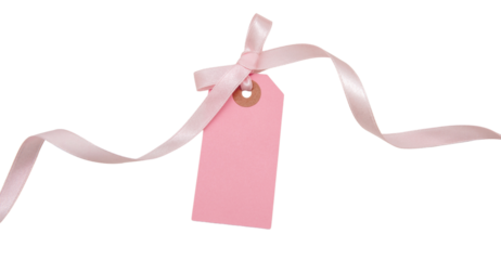 Blank price tag isolated on transparent background. Pastel pink color empty gift card and ribbon bow, PNG