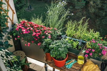 Fototapeta na wymiar Cosy balcony in morning hours seeing from above. Urban gardening. Comfort home zone