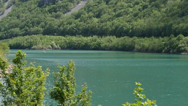 Impressionen aus der Fischzucht an der Neretva, Impressions from the fish farm on the Neretva with boats at the jetty and seagulls in the air