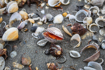 water, sea, nature, beach, ocean, landscape, ice, sky, sunset, stone, coast, rock, stones, sand, wave, winter, river, cold, lake, summer, rocks, abstract, travel