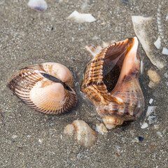 water, sea, nature, beach, ocean, landscape, ice, sky, sunset, stone, coast, rock, stones, sand, wave, winter, river, cold, lake, summer, rocks, abstract, travel