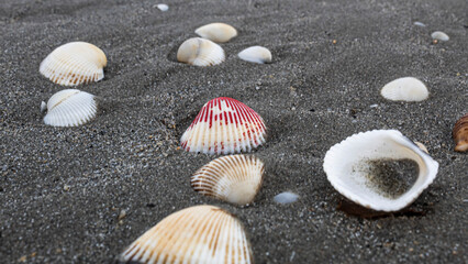 water, sea, nature, beach, ocean, landscape, ice, sky, sunset, stone, coast, rock, stones, sand, wave, winter, river, cold, lake, summer, rocks, abstract, travel