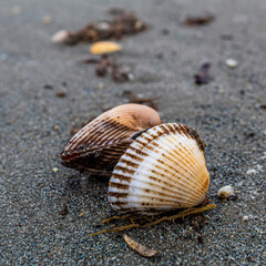 water, sea, nature, beach, ocean, landscape, ice, sky, sunset, stone, coast, rock, stones, sand, wave, winter, river, cold, lake, summer, rocks, abstract, travel