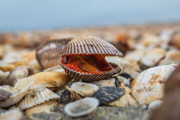 water, sea, nature, beach, ocean, landscape, ice, sky, sunset, stone, coast, rock, stones, sand, wave, winter, river, cold, lake, summer, rocks, abstract, travel