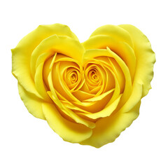 yellow heart-shaped rose on transparent background created with generative AI