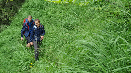 Couple of hikers walking in big grass