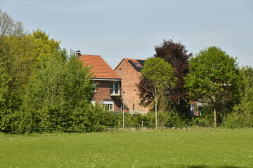 Fototapeta na wymiar Deux maisons derrières les arbres au terrain de football au domaine provincial de Kessel-Lo 