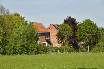 Deux maisons derrières les arbres au terrain de football au domaine provincial de Kessel-Lo 