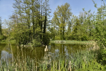  Petit Tang Entour Partation