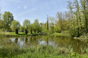 Fototapeta na wymiar Le petit étang entouré par la végétation luxuriante au domaine provincial de Kessel-Lo à Louvain 