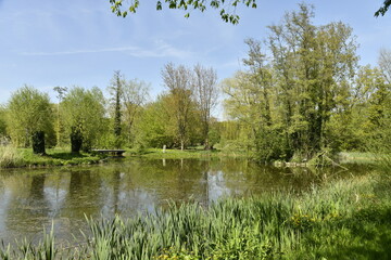 Le petit étang entouré par la végétation luxuriante au domaine provincial de Kessel-Lo à Louvain 