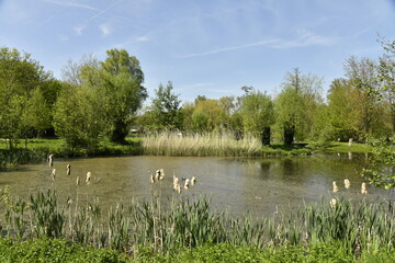 Petit Tang Entour Partation