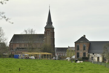 L'un des pâturages à proximité de l'église Saint-Jean de Ghislenghien à Ath 
