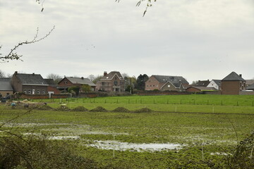 Paysage typiquement rural entre pâtures et fermes à Ghislenghien (Ath) 