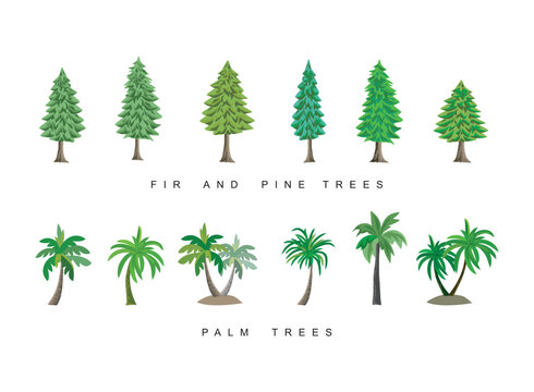 collection of pine, fir, spruce and palm trees vector in cartoon style