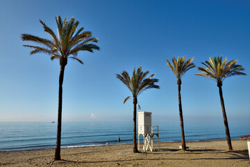 palmeras en una playa de Marbella con torre de vigilancia 