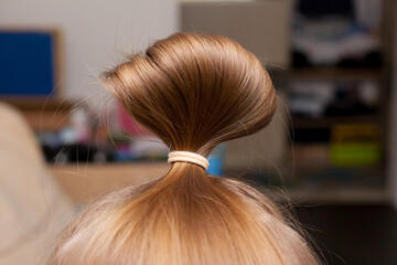 Tail of hair on the girl's head. Hairstyle.