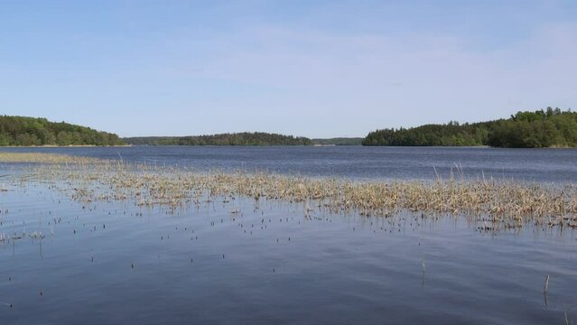 Water at M&auml;laren lake. One summer day outside in nature. Month of May. Stockholm, Sweden.