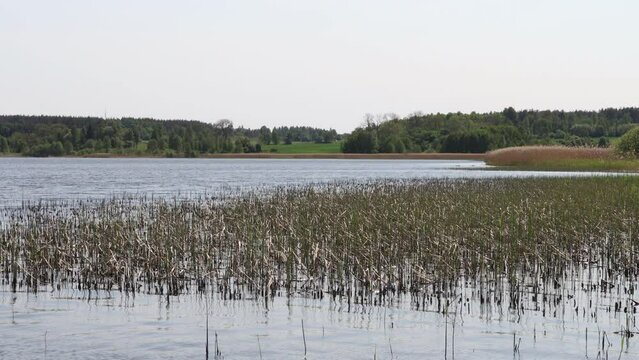 Water at M&auml;laren lake. One summer day outside in nature. Month of May. Stockholm, Sweden.