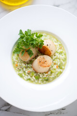 Pea risotto with pan seared sea scallops served in a white plate, vertical shot, closeup, selective focus