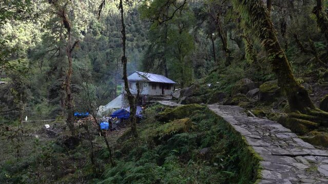 sherpa house hut in rainforest with built road
Steady long shot shot from Nepal, ,May,1,2023
