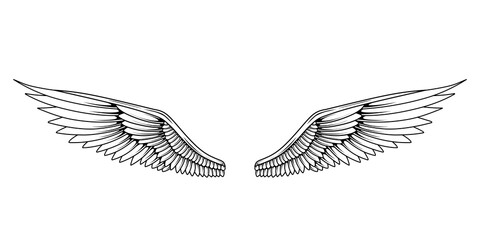 Vector angel wings tattoo design